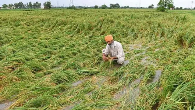 ਬਿਜਲੀ ਦੀ ਸਪਲਾਈ