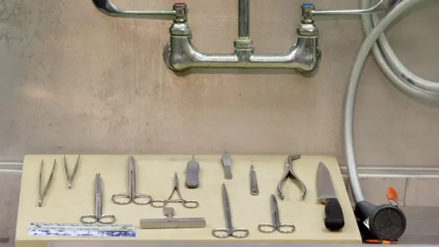 ছুরি, কাঁচি, চিমটা