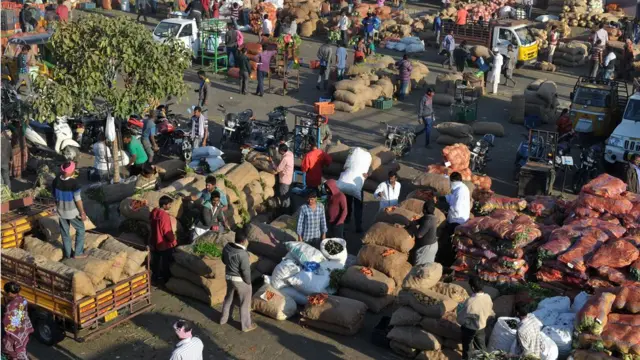 ఎన్ఐఎన్, పురుగు మందులు, పిల్లలు