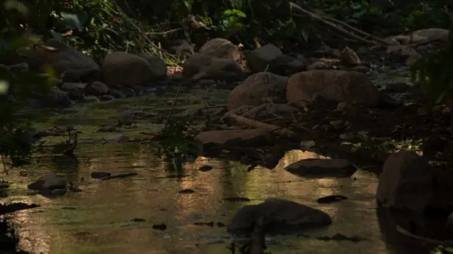 Riachuelo cercano a la carcel