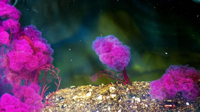 రెయిన్‌బో నది