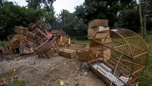 வெற்று பறவை கூண்டு