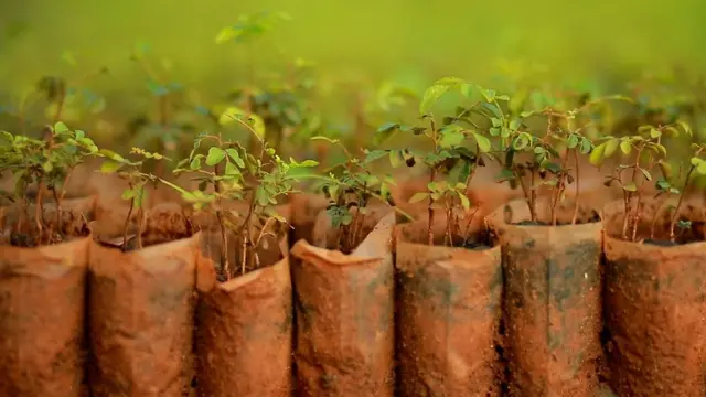 விவசாய தொழில் செய்ய ஊர் திரும்பும் ஒரு கிராமம் - நம்பிக்கை பகிர்வு