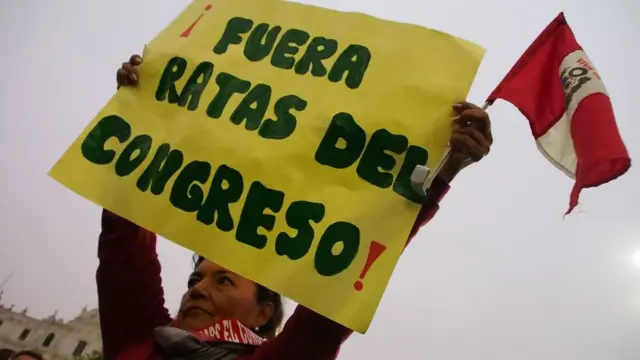Mujer con un cartel que dice "Ratas fuera del congreso".