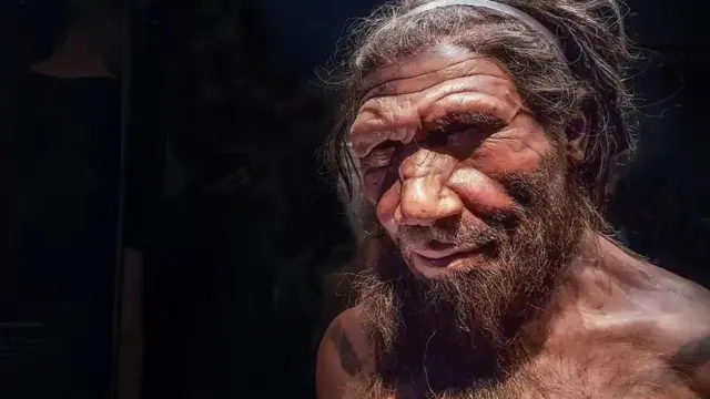 நியாண்டர்தால் மனிதன்