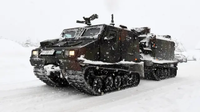 Австрийская армия пришла на помощь