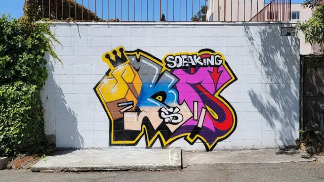 '소파 왕의 서명'