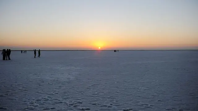 कच्छ का मैदान