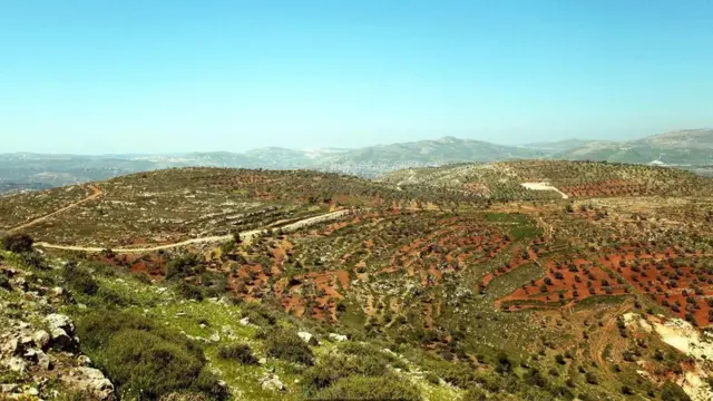 马沙•伊布拉希姆-哈里尔（Masar Ibrahim al-Khalil）古道是一条穿越巴勒斯坦领土，长达321公里的徒步通道。