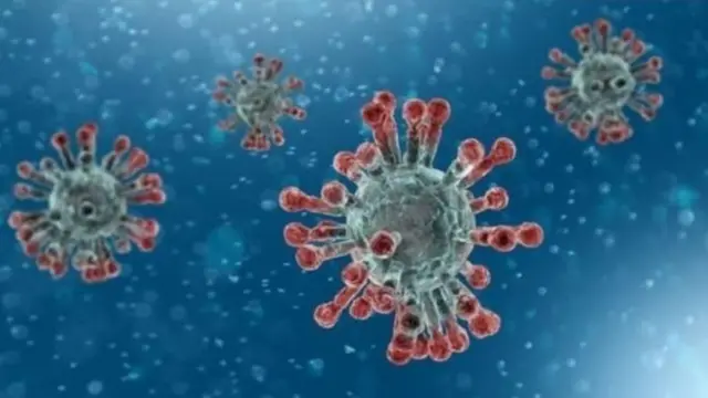 病毒
