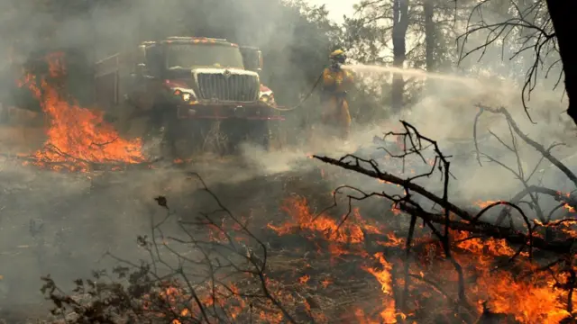 Лісова пожежа у Каліфорнії