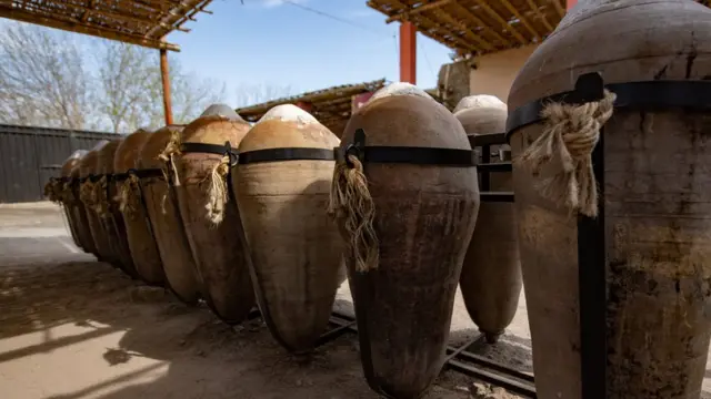 Viñedo de pisco en Perú.
