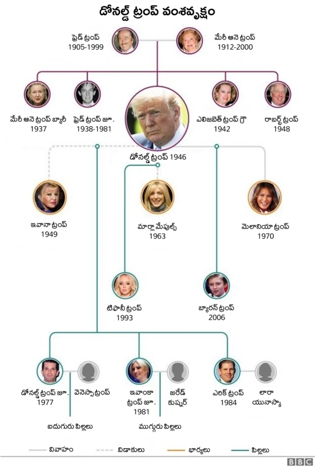 వంశ వృక్షం