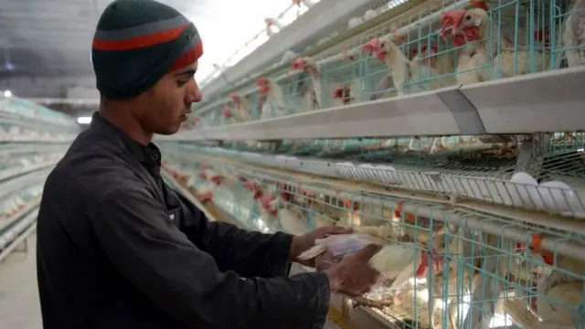 अफ़ग़ानिस्तान