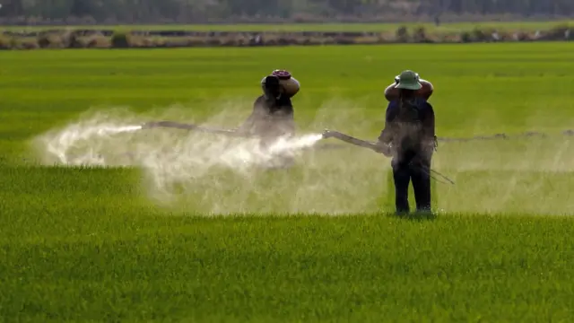 Fazenda recebendo tratamento com agrotóxicos