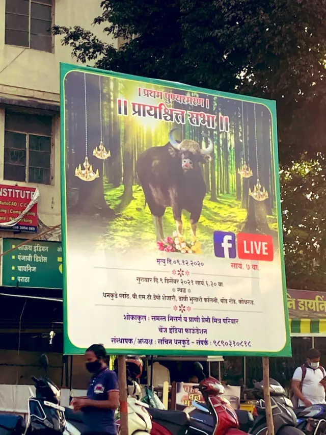 पुणे, गवा, मानव-पर्यावरण संघर्ष