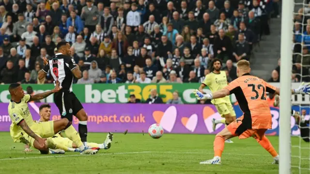 Callum Wilson put Newcastle ahead