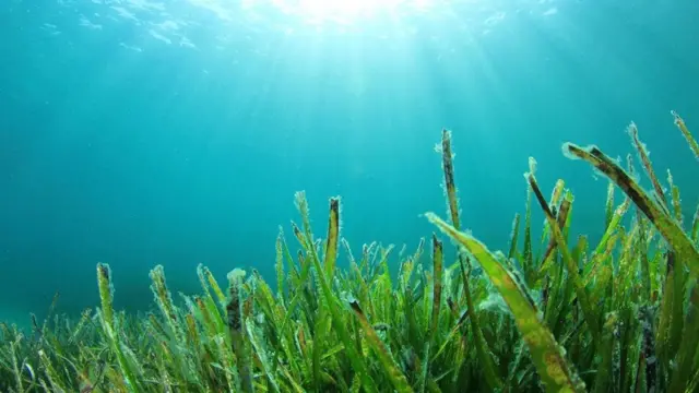 نظامنا الغذائي بين الماضي والمستقبل