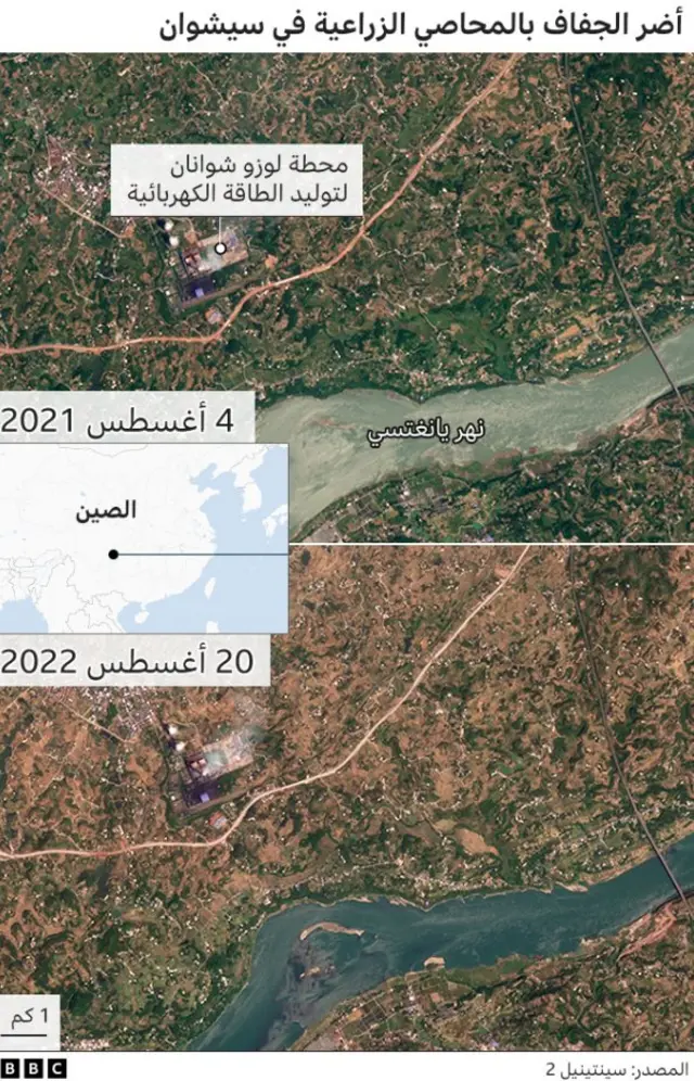 آثار الجفاف في الصين