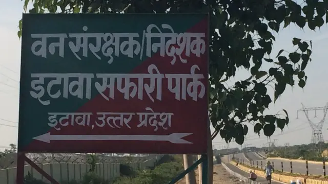 इटावा सफ़ारी पार्क