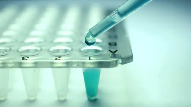 stem cell research tray and pipette