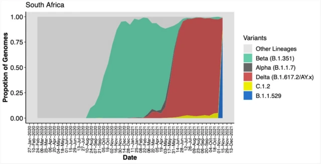 Gráfico das variantes na África do Sul