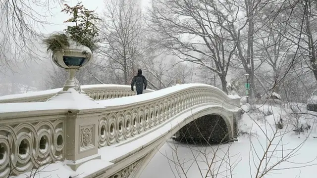 Центральный парк