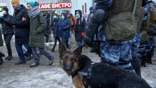 росія, протести