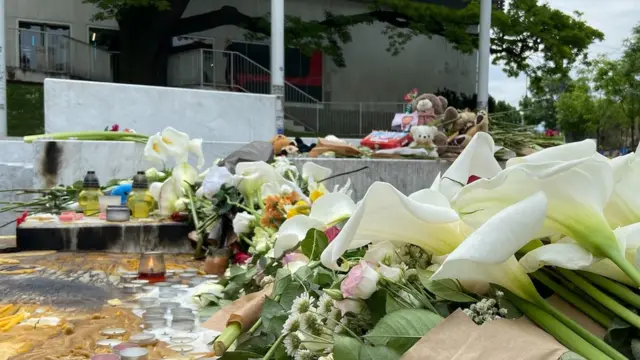 Cveće ispred škole