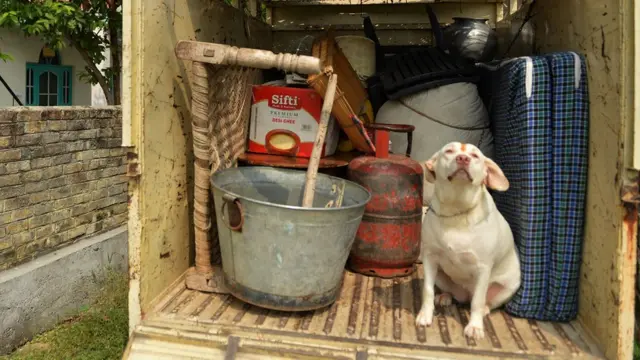 सामना के साथ गाड़ी