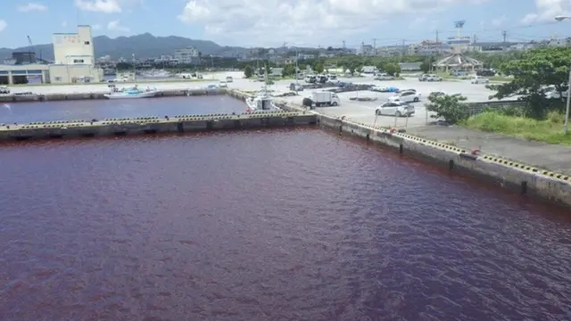 Japan: Okinawa port turns blood red after beer factory leak