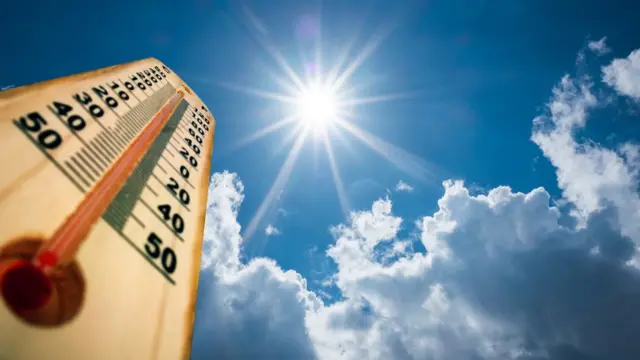 Verano 2025 en Chicago: Farmer’s Almanac pronostica calor y lluvias por encima de lo normal
