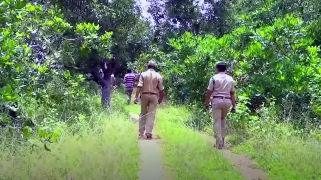 ఏనుగులను తరిమేస్తున్న అటవీ సిబ్బంది