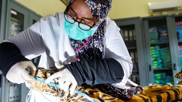 من الصعب جمع الأدلة الكافية في جرائم الحياة البرية، لكن بعض أساليب الطب الشرعي الحديثة تحمل آمالا جديدة لملاحقة الجناة وإحالتهم للمحاكمة