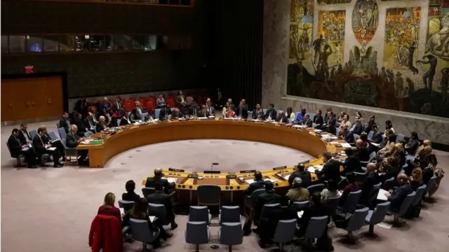 security council