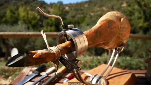 વિશ્વનું સૌથી મોંઘુ માંસ