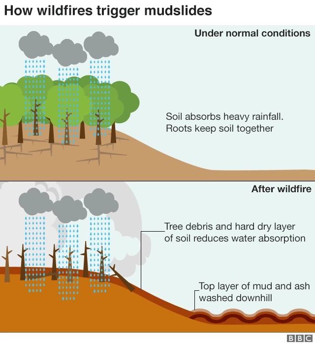 通常の状態での降雨(上図)と山火事後に雨が降った場合(下図)を比較