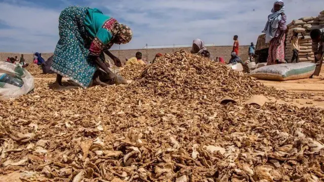 Shayin citta ya samo asali ne daga kasar China a shekaru 5,000 da suka wuce