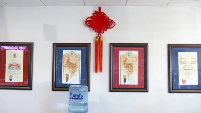 BYD lobby
