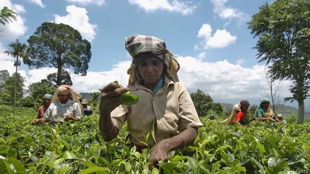 නව ව්‍යවස්ථාවෙන් වතුකරයේ දෙමළ ජනතාවට වෙනම අනන්‍යතාවක් අවශ්‍යයයි