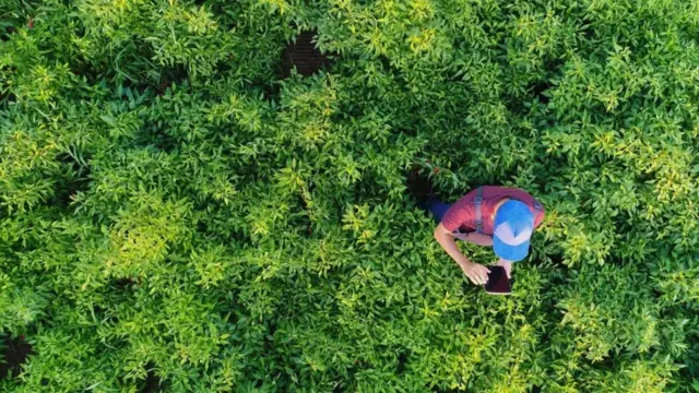 भविष्य के नेताओं के लिए 7 बड़ी चुनौतियां