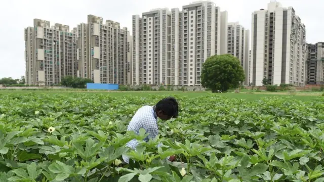 இந்தியாவின் பொருளாதார வளர்ச்சியை அதிகரிக்க உதவும் முக்கிய கூறுகள் என்னென்ன?