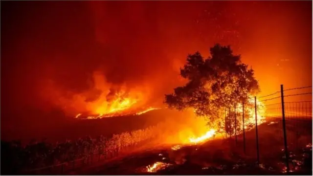 कैलिफोर्निया