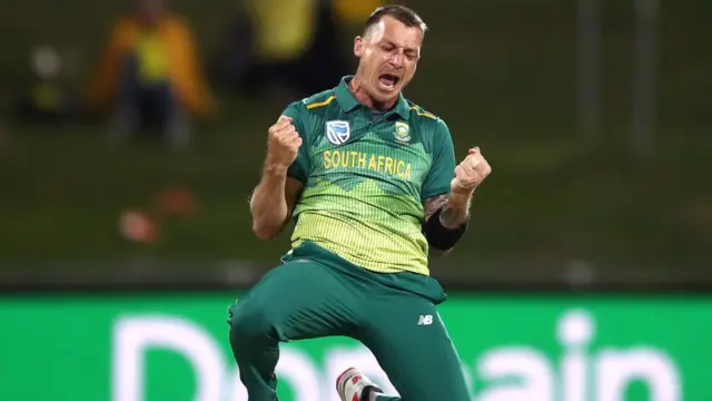 डेल स्टेन, दक्षिण आफ्रिका