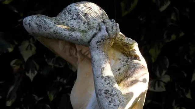 في القرن التاسع عشر، اعتقد الأطباء أن ضعف القوى العقلية للنساء ورِقة أجهزتهن العصبية هما سبب الإصابة بالصداع النصفي