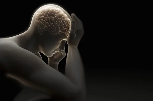 मानव मस्तिष्क का विकास