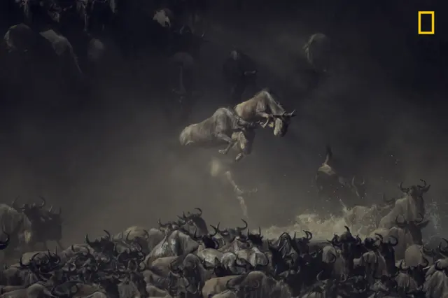 نیشنل جیوگرافک