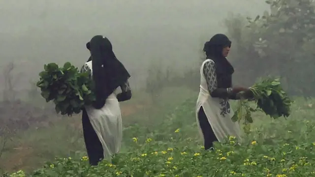 خواتین کارکن