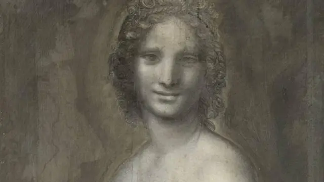 මොනා ලීසා නිමවීමට පෙර ඩා වින්සි මෙම දළ සිතුවම නිර්මාණය කරන ලදැයි හඳුනා ගනු ලැබ ඇත.