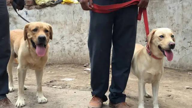 ઇમારત ધરાશાયી